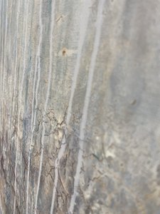  af Gabriela Aleksandra Szuba