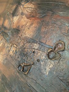  af Gabriela Aleksandra Szuba