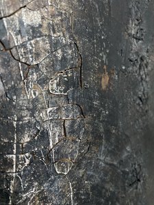  af Gabriela Aleksandra Szuba