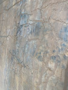  af Gabriela Aleksandra Szuba