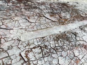  af Gabriela Aleksandra Szuba