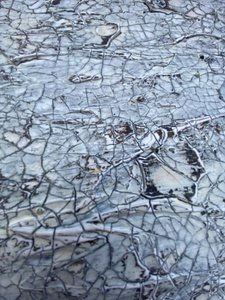  af Gabriela Aleksandra Szuba