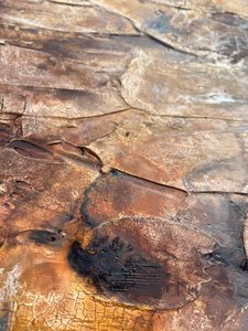  af Gabriela Aleksandra Szuba