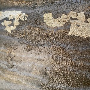  af Gabriela Aleksandra Szuba