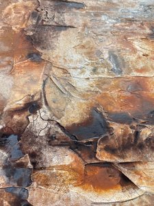  af Gabriela Aleksandra Szuba