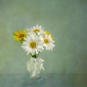  af Gaille Gray