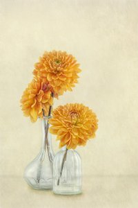  af Gaille Gray