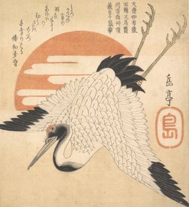 Hvid trane flyver hen over solens skive, 1835.