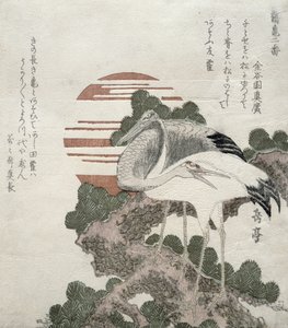 Crane (Tsuru) fra serien 2 designs af Cranes and Turtles, 1818-30 (træblokgravering)