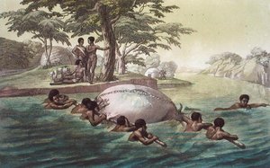Gingri Tribesmen Crossing the River Zebee, plade 67 fra 