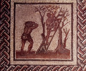 Gallo romersk kunst: mosaikbelægning, der repræsenterer en rustik kalender. Olivenplukningsscene. Slutning 2., begyndelsen af 3. århundrede efter JC. Fra Saint-Romain-en-Gal (Rhône). Saint Germain en Laye, Nationalmuseet for arkæologi af Gallo Roman