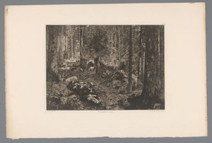 Boslandschap Doubernes grantræer (titel på objekt) Frankrig etsen uit 1876 (serietitel) Radering i 1876 (serietitel) af Gaston Coindre