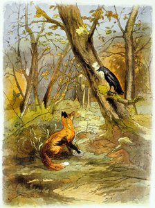 La Fontaines fabel: Kragen og ræven (illustration, ca. 1900)