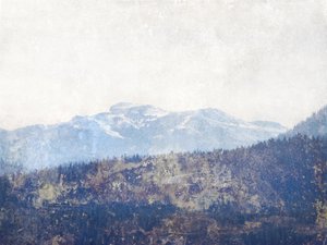 Misty Mountain-skoven af Gemma Bardot