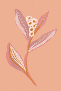 Ferskenblomst