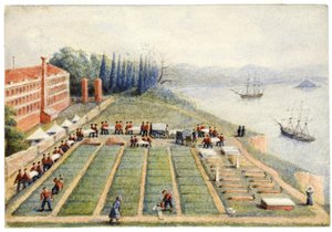 Gravpladsen ved General Hospital, Scutari, april 1855 af General E.W. Wray