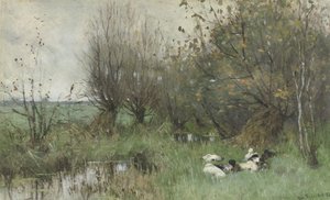 Ænder ved en pilelund