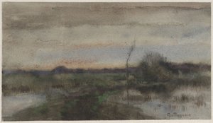 Sumplandskab med solnedgang af Geo Poggenbeek