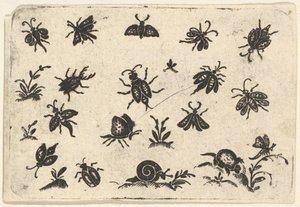 Små motiver af insekter og planter, 1596. af Georg Herman