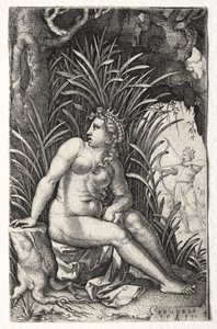 procris af Georg Pencz