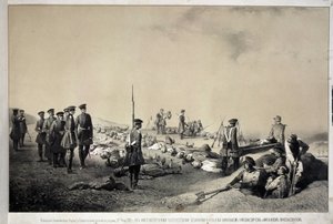 Storhertugerne Nikolai Nikolaievich og Michael Nicolaevich besøger en genopbygning efter angreb den 12. februar 1855 (litografi)