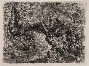 Den gamle pil ved en bæk, 1794. af Georg von Dillis