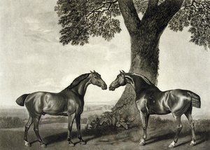 To jægere, graveret af G.T. Stubbs (døbt 1748-c.1815) (litho) (se også 266802)