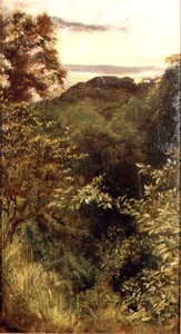The Glen, Naworth, Cumbria (olie på panel)