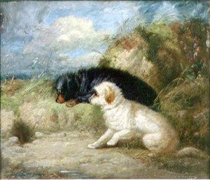Terrier ved et kaninhul