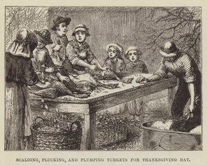 Skoldning, plukning og udplukning af kalkuner til Thanksgiving Day af George Augustus Sala