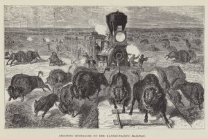 Skydning af bøfler på Kansas-Pacific Railway af George Augustus Sala