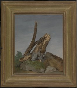 Study of Rocks and Branches, c.1795 (olie på papir)