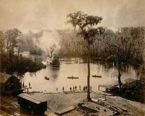 Stern-Wheeler ankommer til Silver Springs, Florida, efter et overnatningsløb op ad St. John..., 1886.
