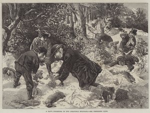 En dags gnidning i juleferien af George Bouverie Goddard