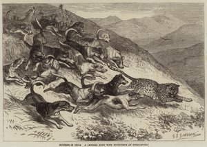 Jagt i Indien, en leopardjagt med rævehunde ved Ootacamund af George Bouverie Goddard