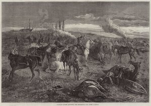 Rytterløse heste, der besvarer regimentkaldet efter et slag