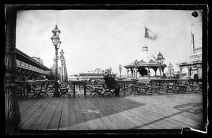 Cables and Iron Cow, Coney Island, Brooklyn, ca. 1872-87 (våd-kollosion negativ)