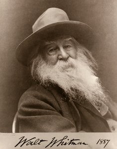 Portræt af Walt Whitman i 1887 af George C. Cox