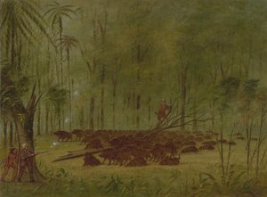 En kamp med peccaries - Caribbe, 18541869. af George Catlin