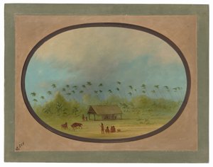  af George Catlin