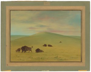 American Pasturage - Prairies of the Platte af George Catlin