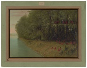 En Amazonaskov - Kigger i land af George Catlin