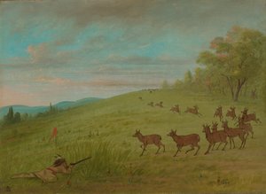 Antilopeskydning - Assinneboine, 18611869. af George Catlin
