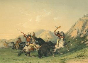 Angriber Grizzlybjørnen af George Catlin