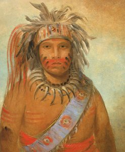 Au-nim-muck-kwa-um, stormfugl af George Catlin