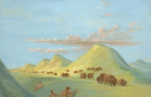 Batiste, Bogard og jeg nærmer os Buffalo på Missouri-floden af George Catlin