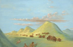 Batiste, Bogard og jeg nærmer mig Buffalo på Missouri, 1837-1839. af George Catlin