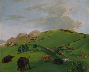 Buffalo Chase, Yellowstones munding af George Catlin