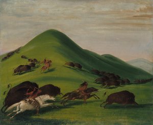 Buffalo Chase over Prairie Bluffs af George Catlin