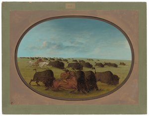 Buffalo Chase, med ulykker af George Catlin